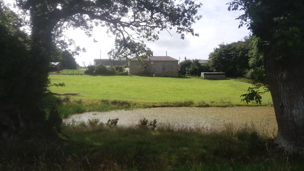 Rectory Farm Acomodação com café da manhã Haverfordwest Exterior foto